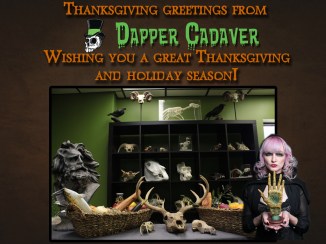 happy thanksgiving blog