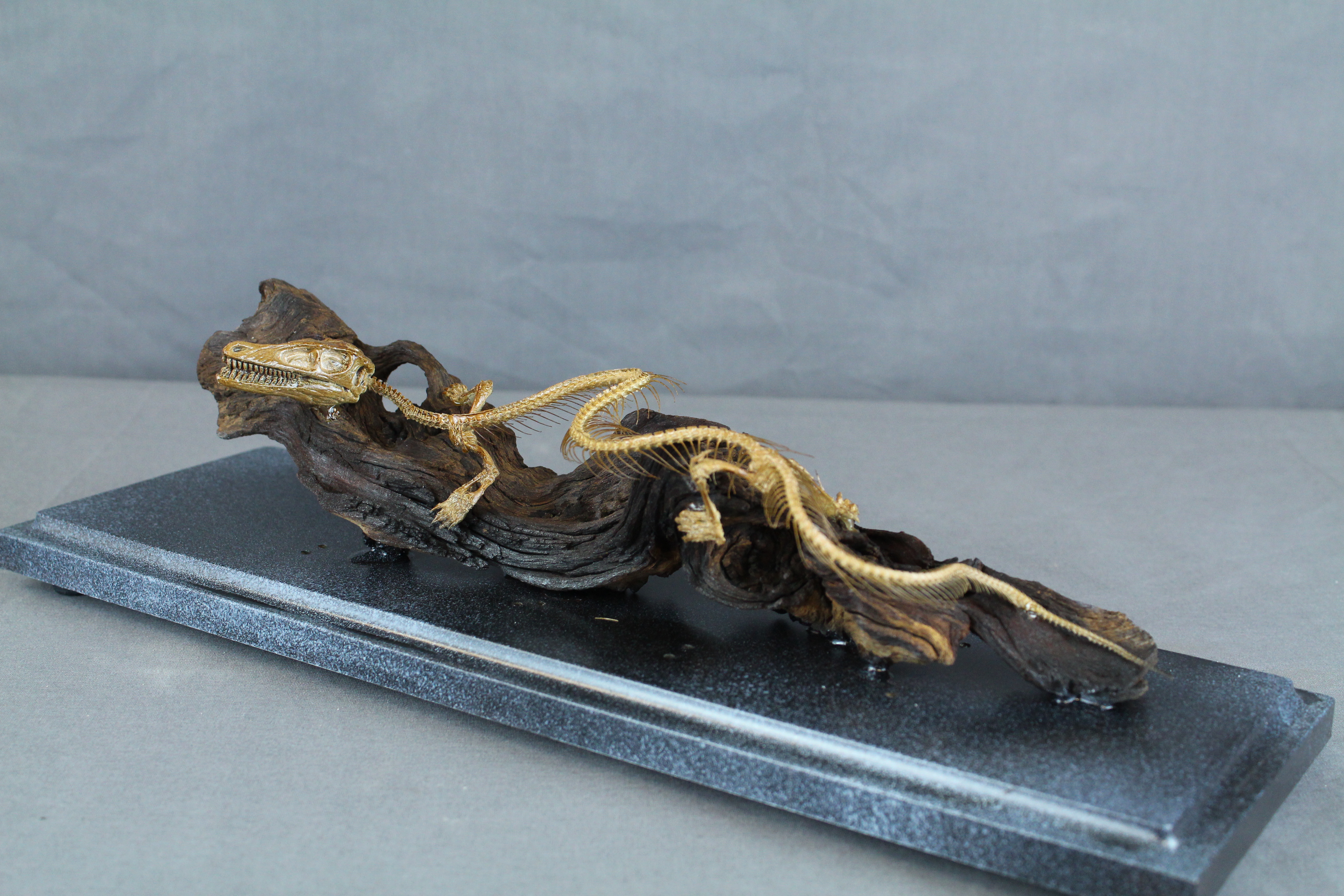 chinese dragon skeleton 99 | Dapper Cadaver Blog » Gothic, Horror ...